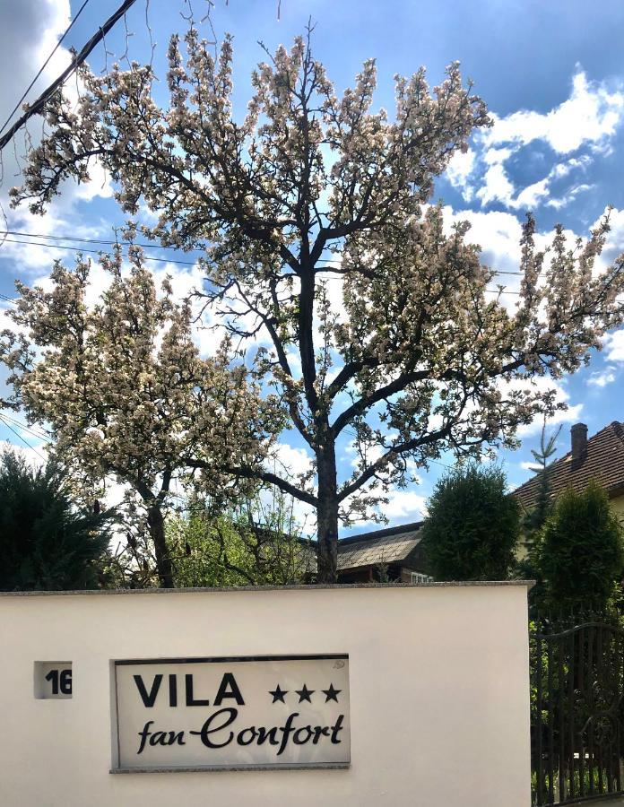 Vila Fan Confort Viseu de Sus Exterior photo